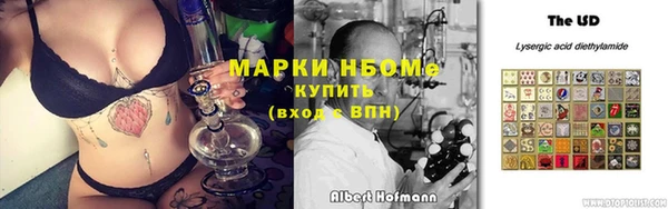 гидра Приозерск