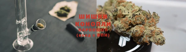 гидра Приозерск