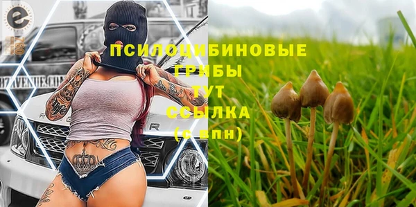 твердый Пролетарск
