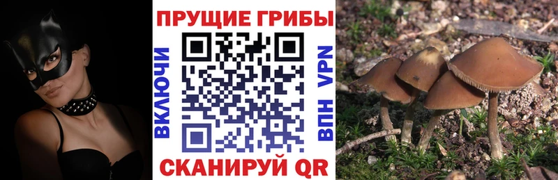 Галлюциногенные грибы мухоморы  Купить  Новоульяновск 